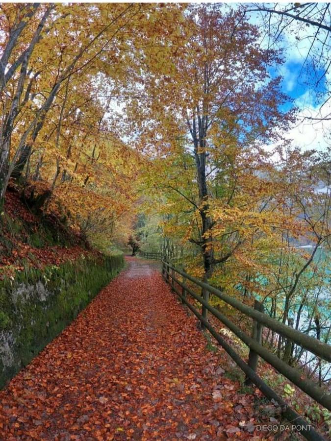 Colori Nel Parco Apartment Cesiomaggiore Екстериор снимка